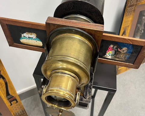 The Collector's Vault