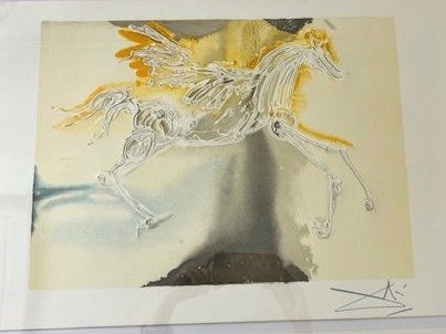 The Collector's Vault