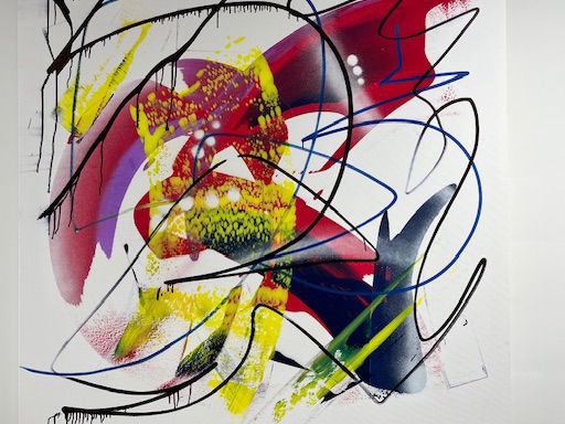 The Collector's Vault