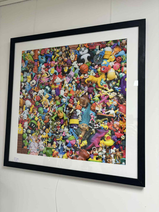 The Collector's Vault