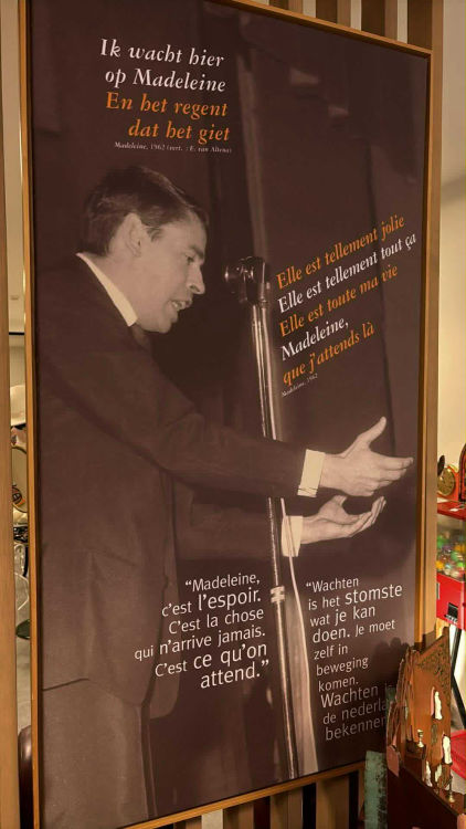 The Collector's Vault