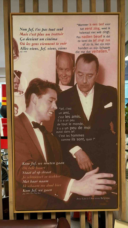 The Collector's Vault