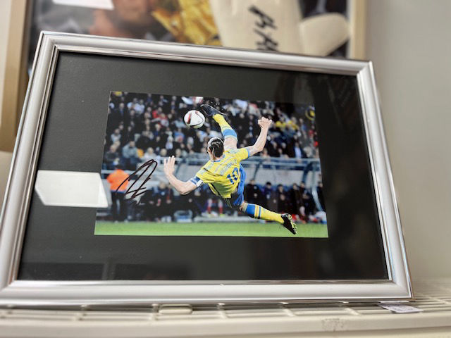 The Collector's Vault