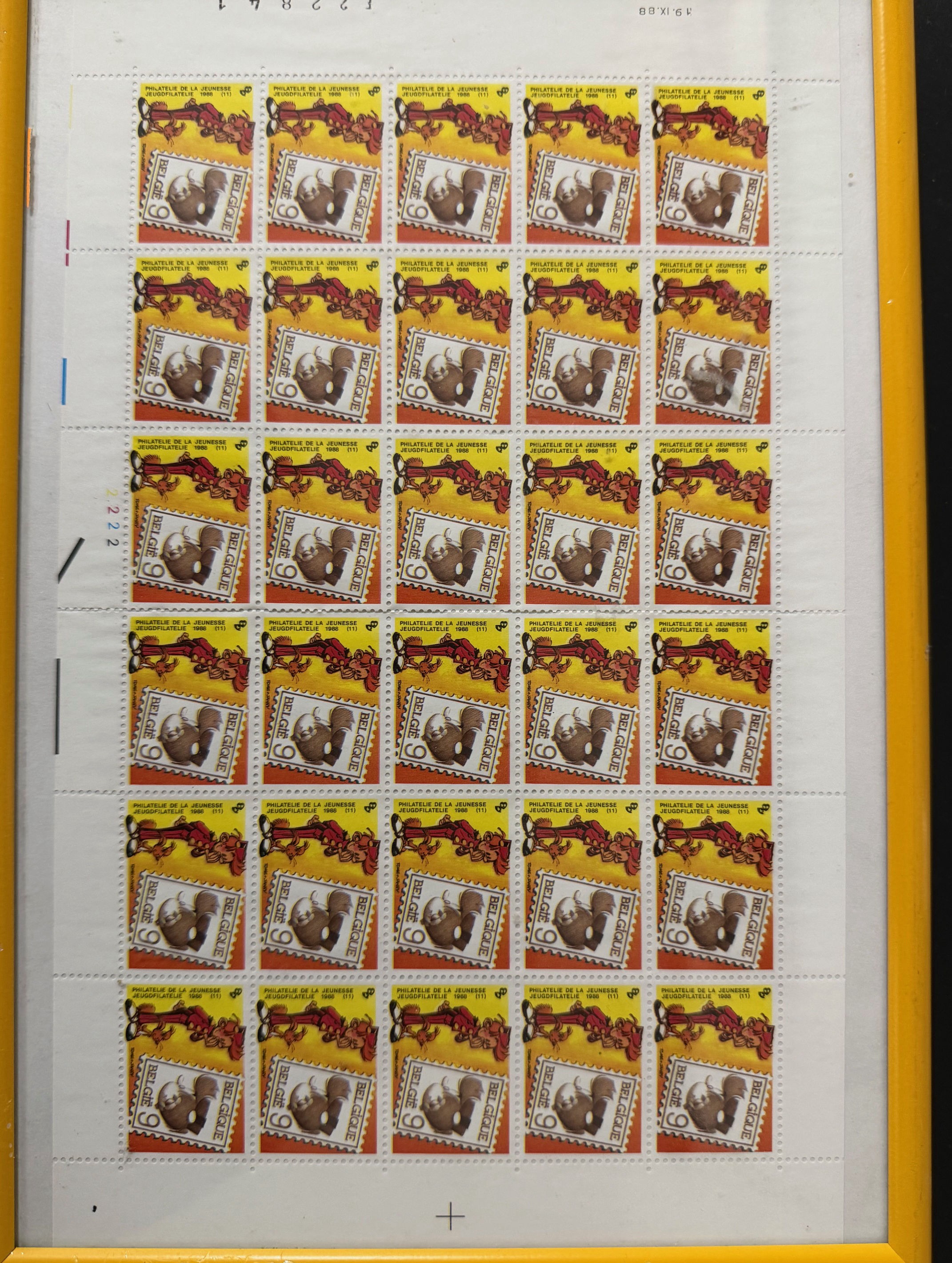 The Collector's Vault