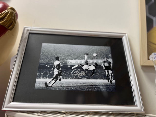 The Collector's Vault